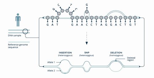 科学前沿的革新印记 2020年《科学家》杂志十大创新科技产品盘点